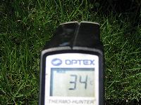 芝生の気温は34度