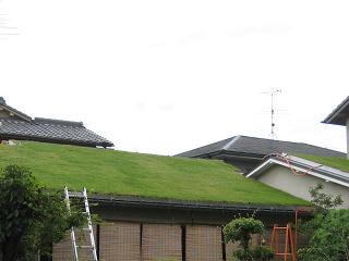 草屋根