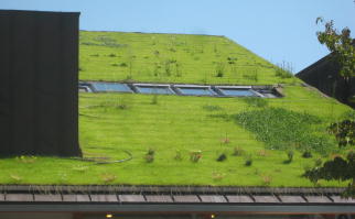 屋上緑化と防水工事はカンボー、大阪府守口市